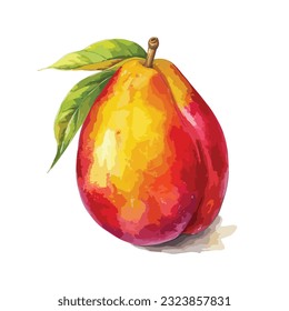 Pintura acuarela dibujada a mano sobre fondo blanco. Ilustración vectorial del mango de la fruta, ilustración del mango de la acuarela
