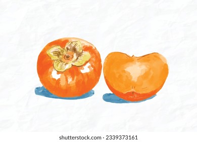 Hand drawn watercolor painting on white background. Vector illustration of fruit persimmon