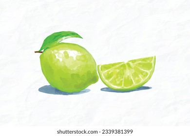 Hand drawn watercolor painting on white background. Vector illustration of fruit lemon