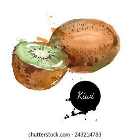 Hand Drawn Watercolor Painting On White Background. Vector Illustration Of Fruit Kiwi