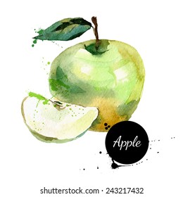 Hand Drawn Watercolor Painting On White Background. Vector Illustration Of Fruit Apple