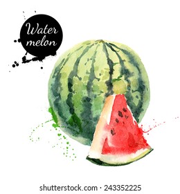 Hand drawn watercolor painting on white background. Vector illustration of fruit watermelon