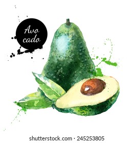 Hand Drawn Watercolor Painting On White Background. Vector Illustration Of Fruit Avocado