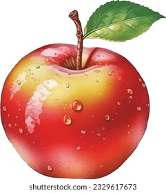 Hand drawn watercolor painting red apple on white background.Red apple vector.