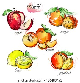 Hand drawn watercolor painting set of fruits. Vector illustration apple, lemon, grapefruit, orange and peach on white background