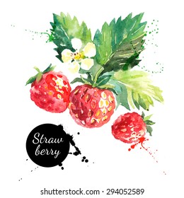 Hand drawn watercolor painting strawberry on white background. Vector illustration of berries	