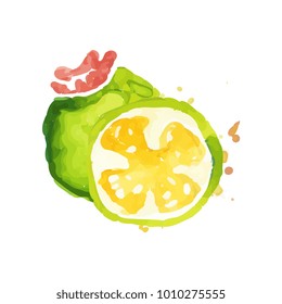 Hand drawn watercolor painting with whole and slice of juicy feijoa. Healthy nutrition. Organic and tasty food. Tropical fruit. Eco product. Colorful vector design