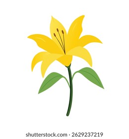 Hand drawn Watercolor Painting of a yellow 
lily flower isolated on a white background