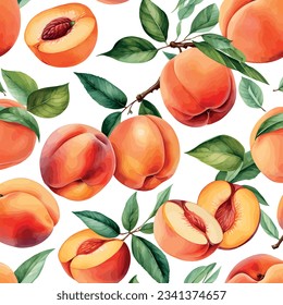 Hand drawn watercolor peach painting on white background. Fruit vector illustration. Pattern watercolor fruit.