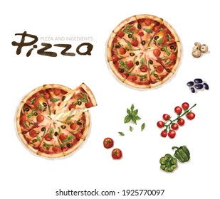 Hand drawn watercolor of pizza and ingredients including tomato, black olive, bell pepper, basil, mashroom. 