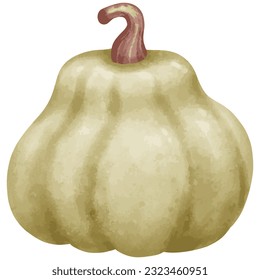 Hand drawn watercolor pumpkin element for any use, thanksgiving, Halloween concept. 