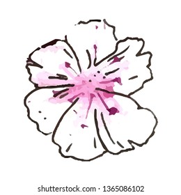 Hand drawn watercolor sakura, pink peach flower vector illustration. Romantic garden element for different background 