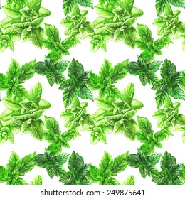 Hand drawn watercolor seamless pattern with different bright green mint and oregano  leaves on the white background