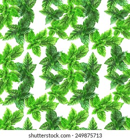 Hand drawn watercolor seamless pattern with different bright green mint leaves on the white background