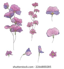 Hand drawn watercolor set of flowers. Vector