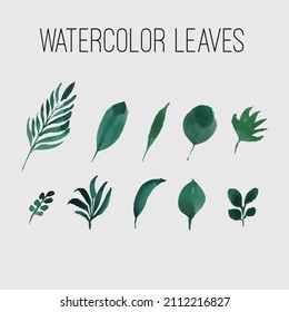 Hand drawn watercolor simple leaves elements natural pattern