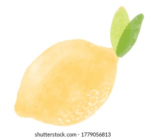 Hand drawn watercolor style yellow lemon vector illustration element isolated on a white background