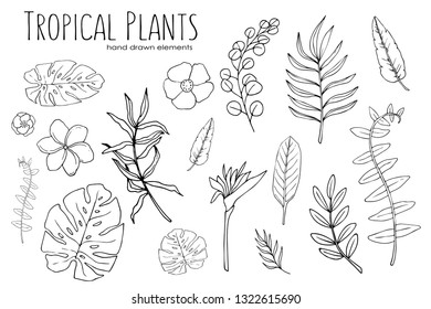 Collection Sunflowers Sketches Variety Vector Sunflowers Stock Vector ...