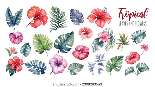 Hand drawn watercolor tropical plants set . Exotic palm leaves, jungle tree, tropic botany elements and flowers. Perfect for fabric design, webdesign, banner and backgrounds.