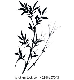 Hand drawn watercolor vector of bamboo. Traditional chinese ink and wash painting