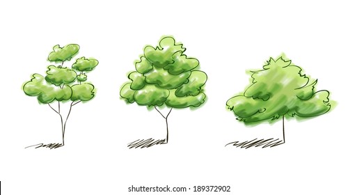 hand drawn watercolor vector illustration of tree