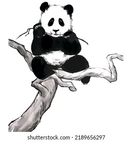 Hand drawn watercolor vector of panda and bamboo. Traditional chinese ink and wash painting