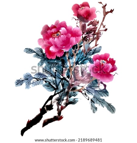 Hand drawn watercolor vector of peony flowers. Traditional chinese ink and wash painting