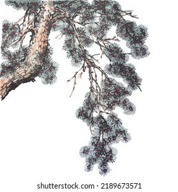 Hand drawn watercolor vector of pine tree branch. Traditional chinese ink and wash painting