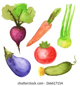 hand drawn watercolor vector vegetables set eat local farm market rustic illustrations