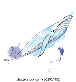 Hand drawn watercolor vector whale, graphic illustration