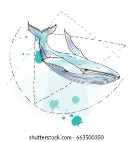 Hand drawn watercolor vector whale, graphic illustration