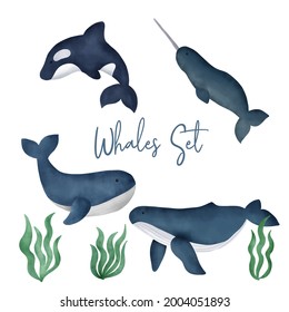 Hand drawn Watercolor whales set .