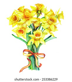 Hand drawn watercolor yellow narcissus bouquet isolated on the white background