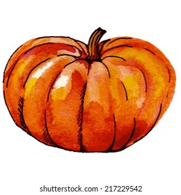 Hand drawn water-colour pumpkin