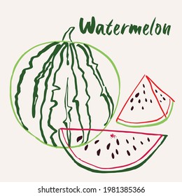 Hand drawn watermelon fruit multicolor line art vector illustration. Colorful line art exotic fruit design.