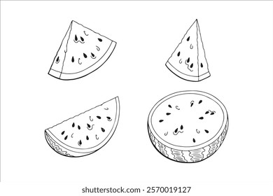 Hand drawn watermelon fruit set,Line art style illustration