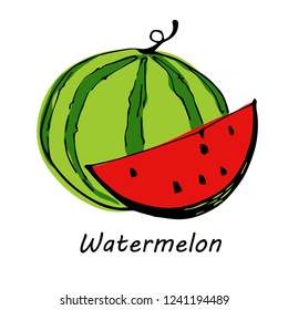Hand drawn Watermelon isolated on white background. vector illustration.