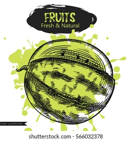 Hand drawn watermelon isolated on green blot. Fruits sketch elements. Art hand-drawn vector illustration. Great for poster, banner, voucher, coupon.