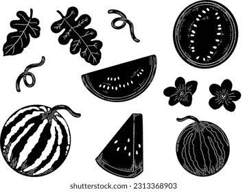 Hand drawn watermelon silhouette illustration