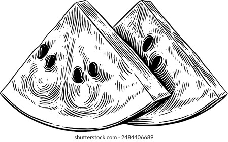 Hand drawn Watermelon Slices Sketch Illustration