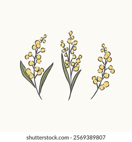 Hand drawn wattle branches set