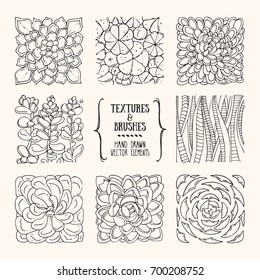 Hand drawn wavy floral textures. Artistic collection of botanical design elements: succulent illustration, organic background, geometric pattern for adult coloring book. Isolated vector set.