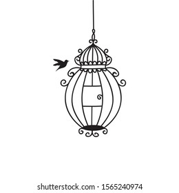 hand drawn wedding birdcage collections