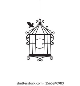 hand drawn wedding birdcage collections