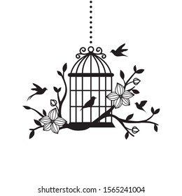 hand drawn wedding birdcage collections