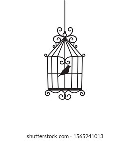 hand drawn wedding birdcage collections