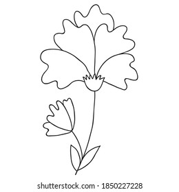 Hand drawn wedding herb, plant