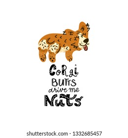 Hand drawn Welsh Corgi  lettering quote - Corgi Butts drive me nuts - with illustration of happy dog. Unique vector quote poster.Custom typography for package, t-shirts, merch design. 