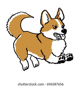 Hand drawn welsh corgi pembroke funny dog on white