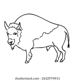 Hand drawn western vector doodle of bison, american buffalo. Line art illustrations with wild west atmosphere.